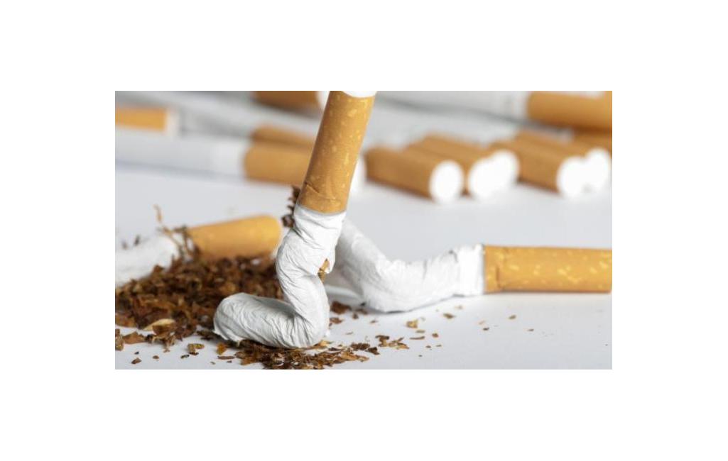 Kawasan Pendidikan Harus Bebas Rokok