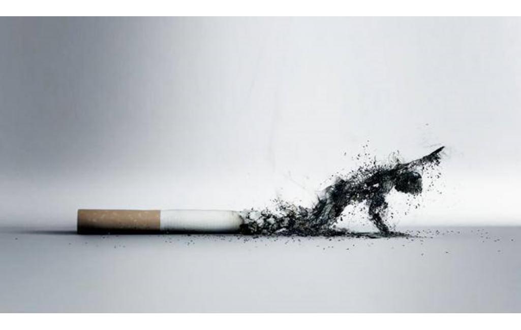 Setiap Tahun, 300 Triliun Habis untuk Beli Rokok