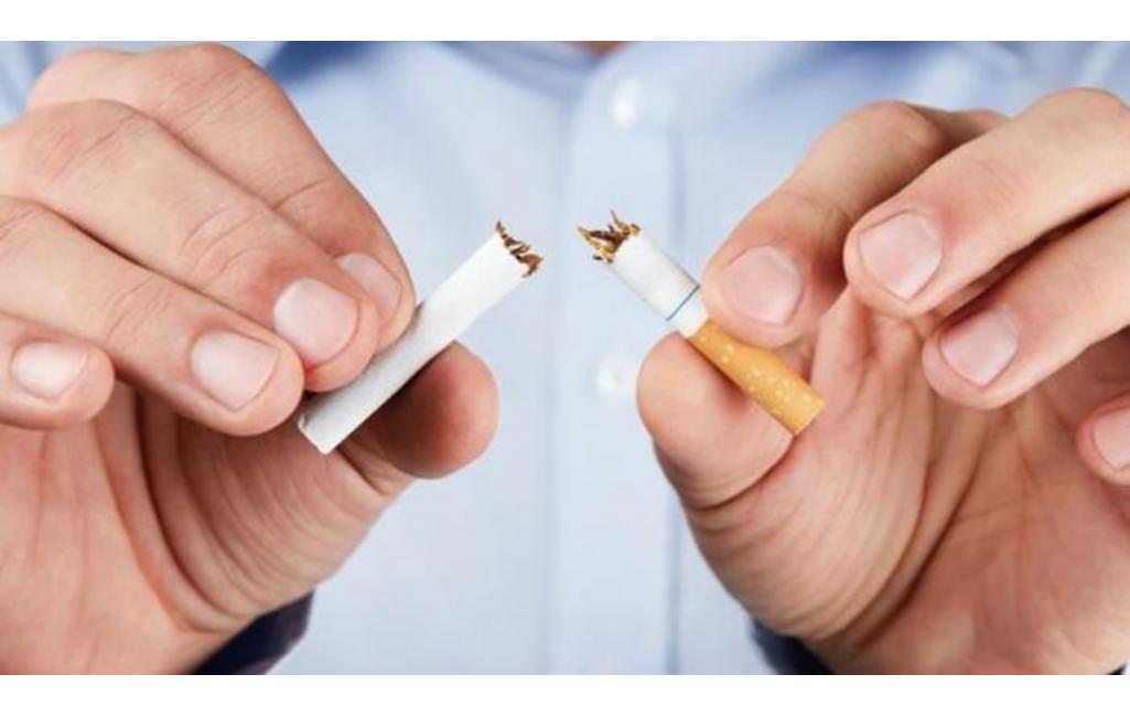 Rokok dan 17 Tipe Tumor
