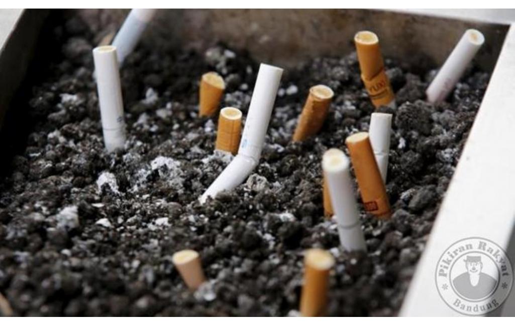 Penelitian WHO: 2030, Rokok Membunuh 8 Juta Orang Per Tahun