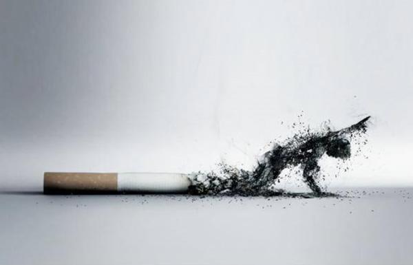Setiap Tahun, 300 Triliun Habis untuk Beli Rokok
