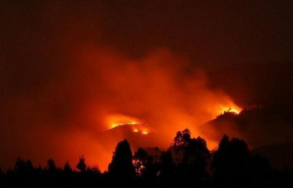 Api Rokok Pendaki Jadi Penyebab Gunung Rinjani Terbakar